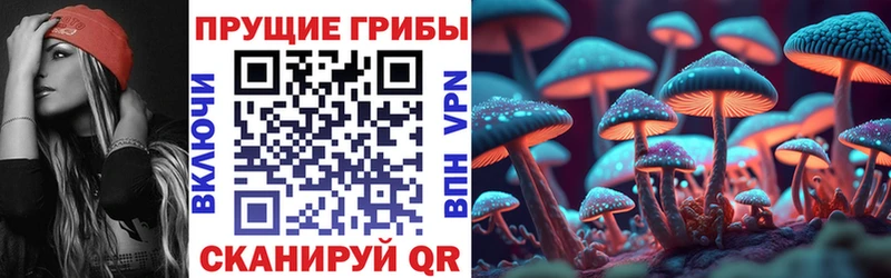 Псилоцибиновые грибы Cubensis  Купить  Комсомольск 